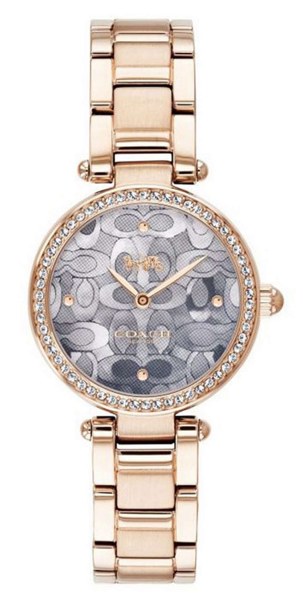 Coach Park Crystal Grey Dial 14503226
