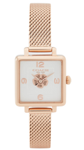 Coach Cass White Dial 14503698